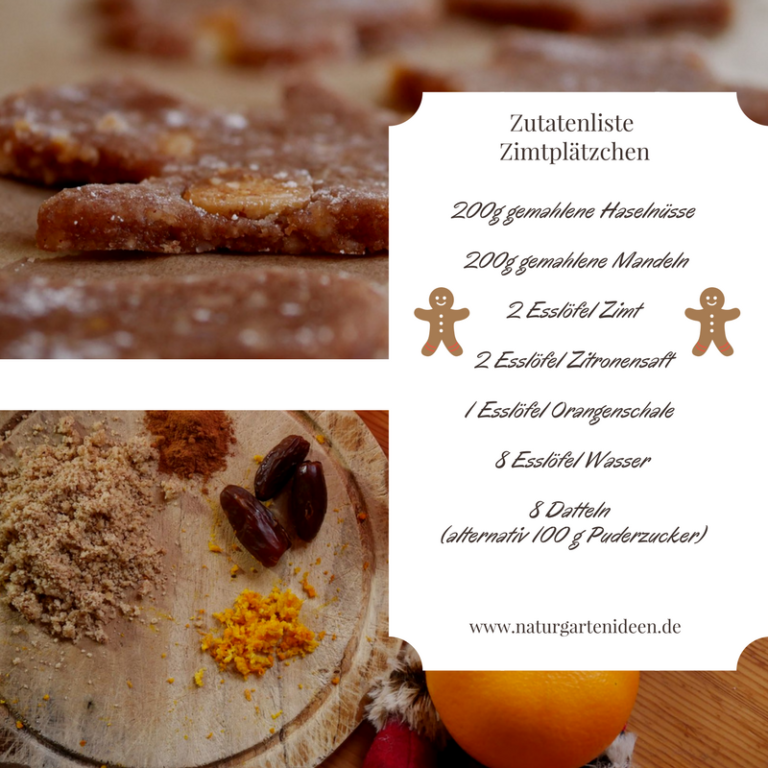 Zimtplätzchen oder Zimtsterne- Weihnachtsbäckerei Teil 2