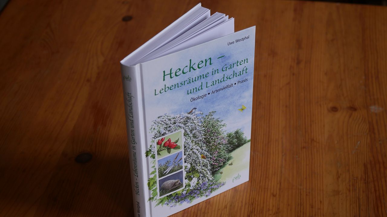 Hecken Lebensräume in Garten und Landschaft