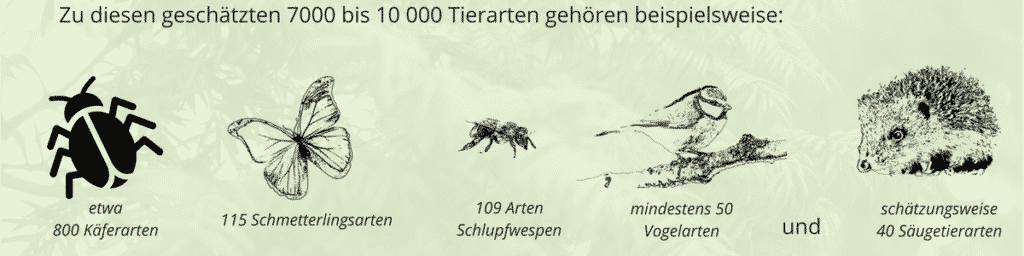 Tierarten, die von der Pflanzung heimischer Heckenpflanzen profitieren