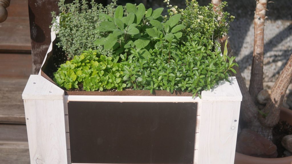 Mini-Hochbeet für Kräuter als Bienenweide für die Terrasse und den Balkon. Balkongestaltung für Wildbienen.