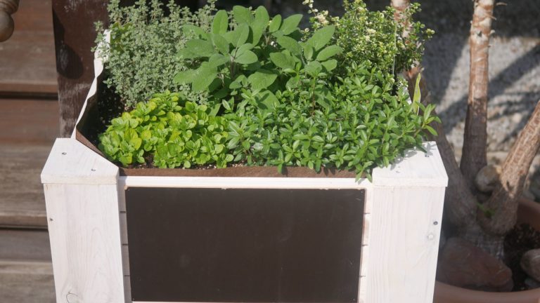 Welche Erde Fur Salat Und Krauter Ein Mini-Hochbeet für Kräuter. Mit Kräutern Bienen unterstützen.