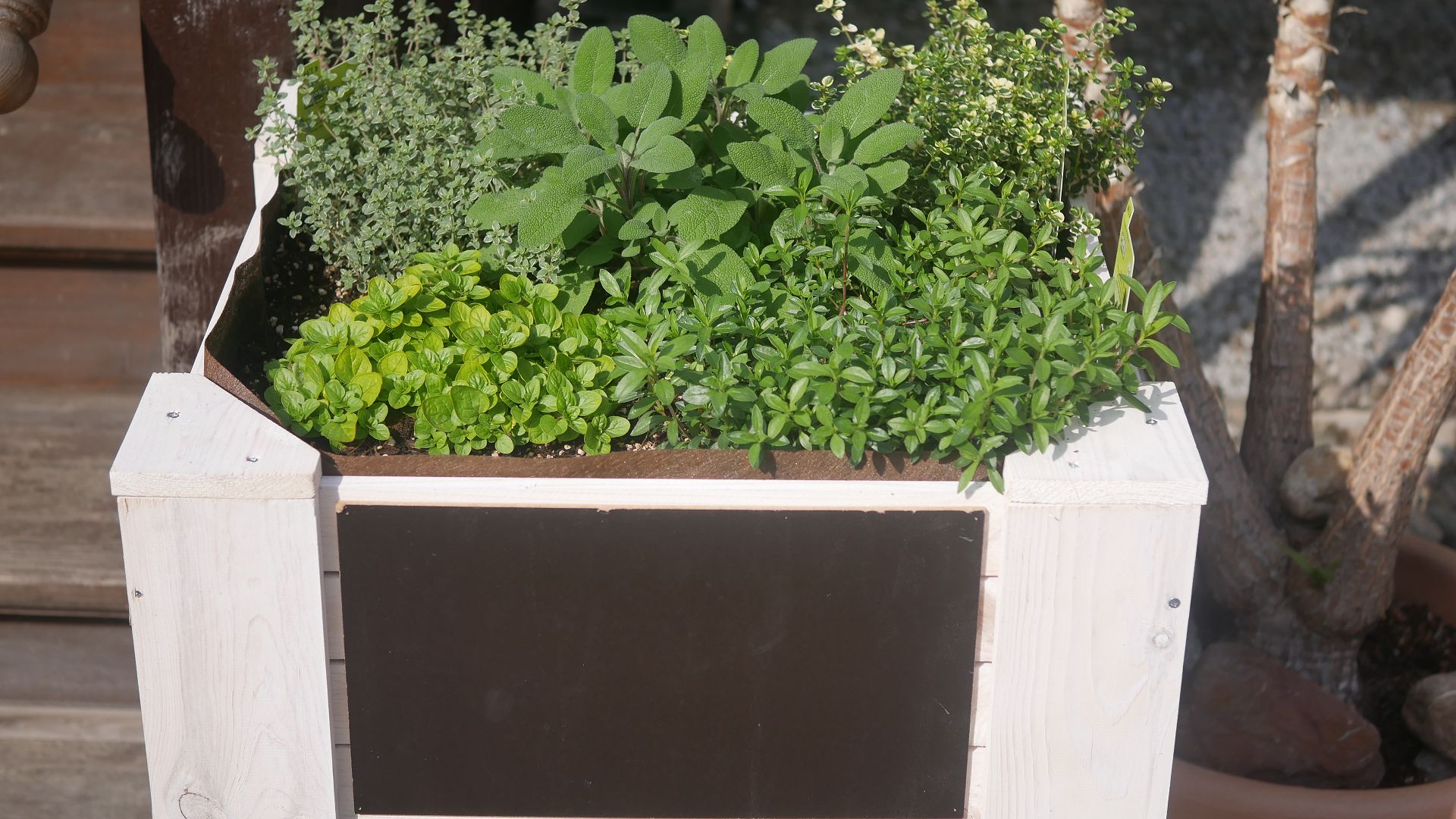 Mini-Hochbeet für Kräuter als Bienenweide für die Terrasse und den Balkon. Balkongestaltung für Wildbienen.