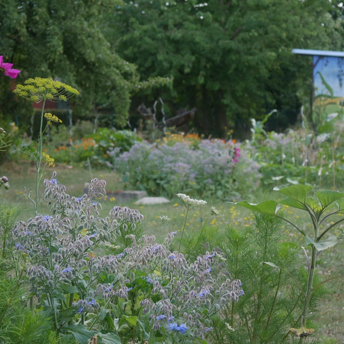 Naturnah Gärtnern ist Unsere Vision Gartenblog Naturgartenideen