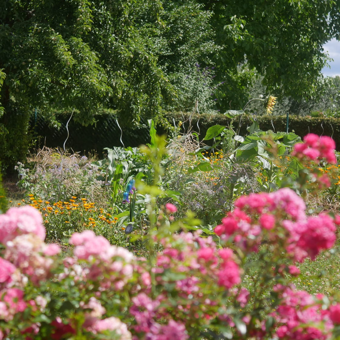 Naturnah Gärtnern ist Unsere Vision Gartenblog Naturgartenideen