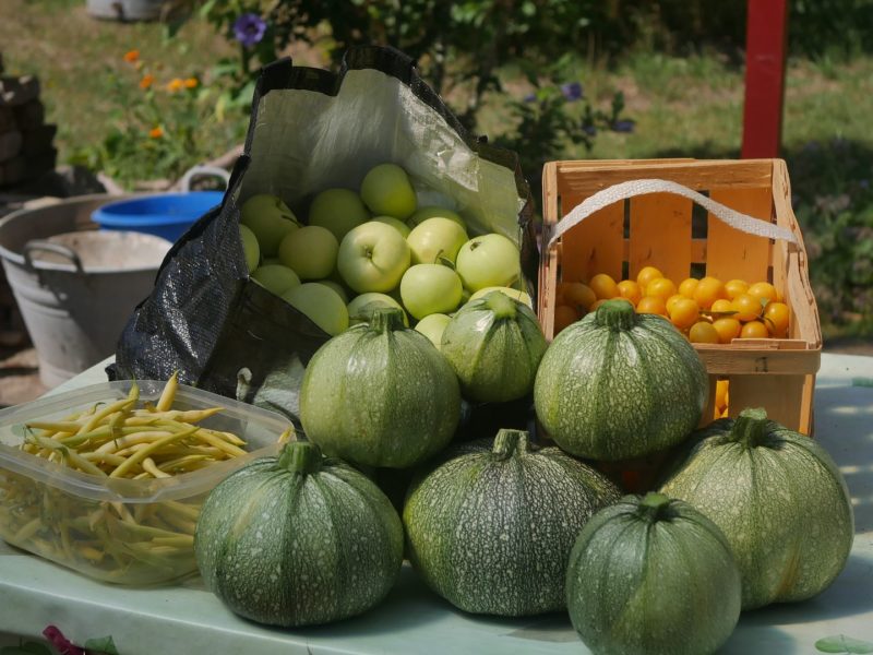 Gartenjahr 2018 Gartensaison 2018 Garteneinblick Gartenrundgang Gartenerlebnisse Gartenmomente Gartenernte