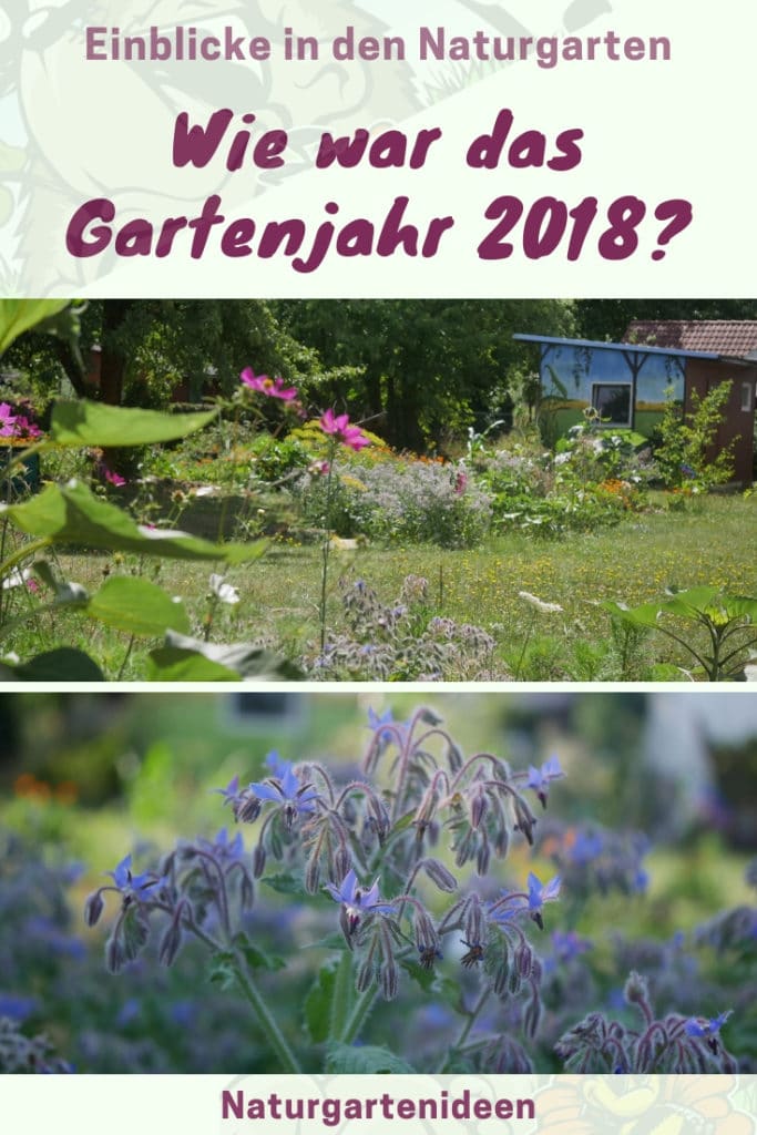 Gartenjahr 2018 Gartensaison 2018 Garteneinblick Gartenrundgang Gartenerlebnisse Gartenmomente Gemüse Korb Borretsch Blüte