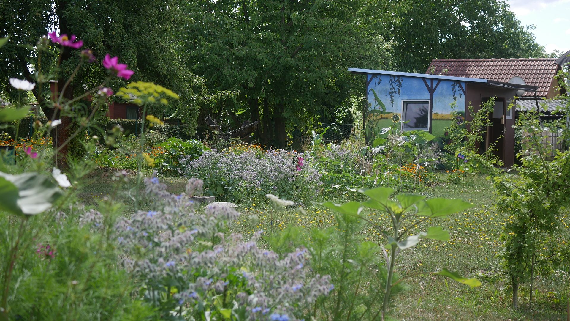 Gartenjahr 2018 Gartensaison 2018 Garteneinblick Gartenrundgang Gartenerlebnisse Gartenmomente Gemüse Naturgarten