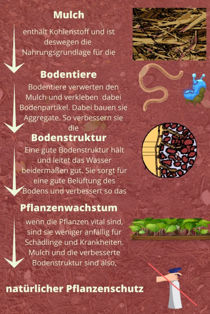 Natürlicher Pflanzenschutz durch eine Beetabdeckung mit Mulchmaterial