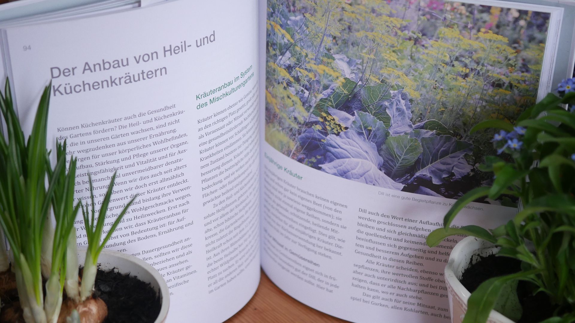 Mischkultur im Garten Buchtipp, Gertrud Franck Gesunder Garten durch Mischkultur