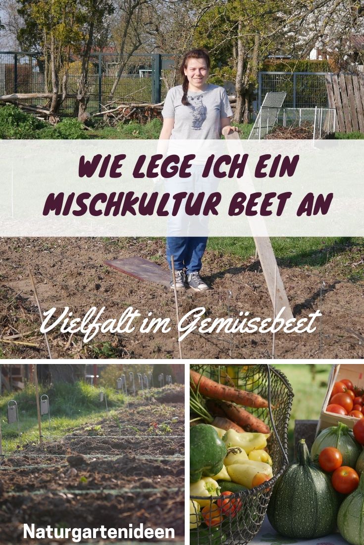 Gemüsebeet anlegen Mischkultur Beet Reihenmischkultur Beetplan Beetvorbereitung Gemüse im Garten eigenes Gemüse Pflanzschilder Gute Nachbarn