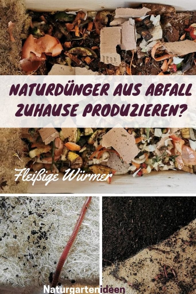 Naturdünger Natürlicher Dünger Wurmhumus Wurmkiste kompostbehälter bio erde wurmzucht küchenkomposter biomülleimer
